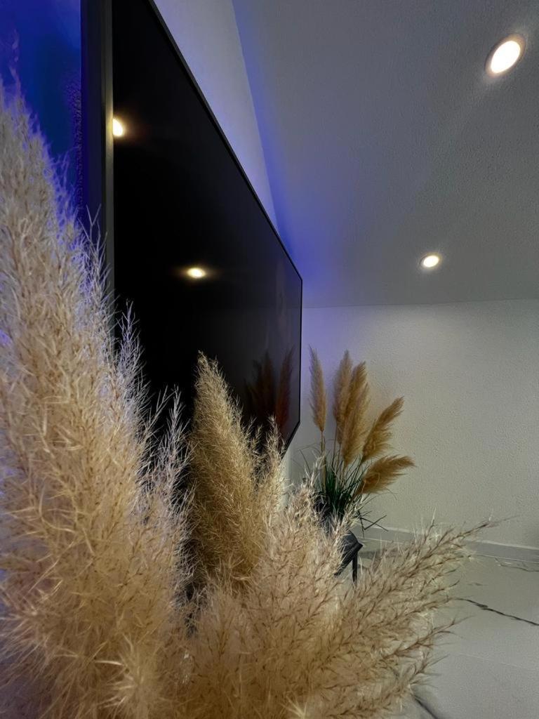 Luxury Apartment Megy Otočac Esterno foto